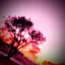 killerboy7712 avatar