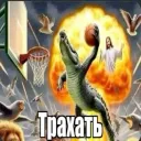 Аватар zxccat5803