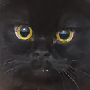 cxrpseflxwer