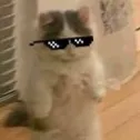 aaxnv
