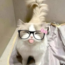 avatar 𝓳𝓾𝓵𝓿𝓼𝔁_<3