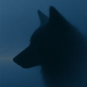 avatar ᴇᴅɪᴀɴ