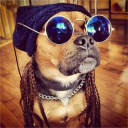 avatar ＶＡＬＤＥＭＡＲ