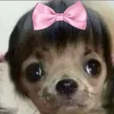 dollslovedeath