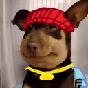 narcoticslover avatar