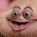 imagelessjt#1505's avatar