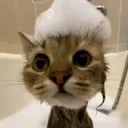 ty5416