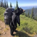 Avatar for stormharpy