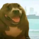 reg_rl