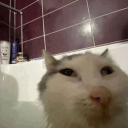 avatar ⋆｡‧˚ʚ Avvy ɞ˚‧｡⋆