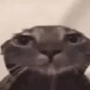 avemv