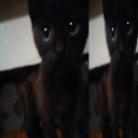 avatar lightlordlevi