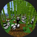 justus0203