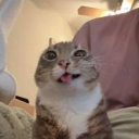 avatar couchielover123