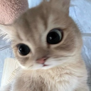 avatar mila