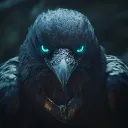 defi_senseii