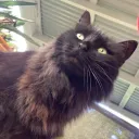 epicgamer9995837 avatar