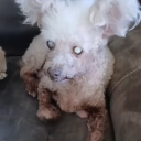 avatar Ledia Beata Boda Butt