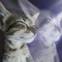 avatar takeshi