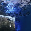 liulangnominyossykmmt9653