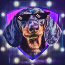 cryptodog_