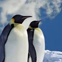 woobwuubwoobed
