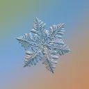 snowflakesnowy