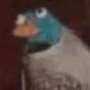 sw1fti3_fl1ck