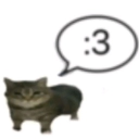 avatar ! 𝕀𝕣𝕚𝕤