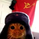 _localpotato