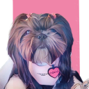 user_l6617tj1ilivh71t member profile picture
