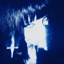 dxxxsire