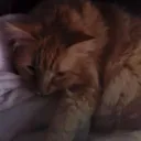 yumiuwu.
