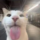 twxrty