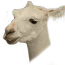 llamawithak47