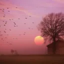yxyyxyxyxyxyy