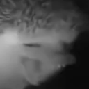 avatar 𝙉𝙚𝙭𝙞𝙋𝙇