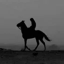 redadhx