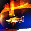 dolliprane99999 avatar