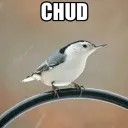 0utjes
