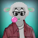 sheep_sol3368