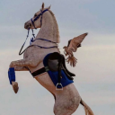 avatar cp | ابوحـمد