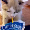 wawwco