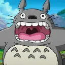 commandertoro8857