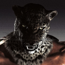 avatar Zephy ✧₊⁺