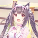 dvrknvss