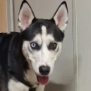 avatar ℝ𝕖𝕕𝕙𝕖𝕒𝕕