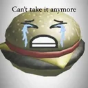 zachyr_