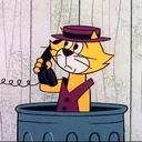 top_cat