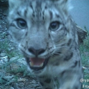 avatar EatYourCereal